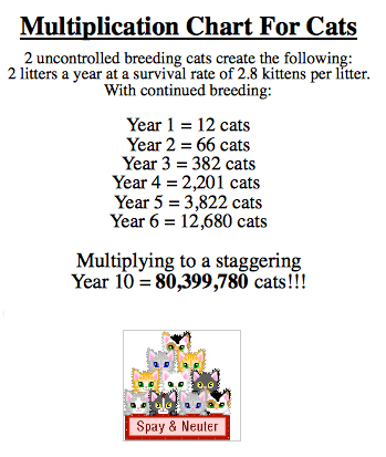 Cat Multiplication